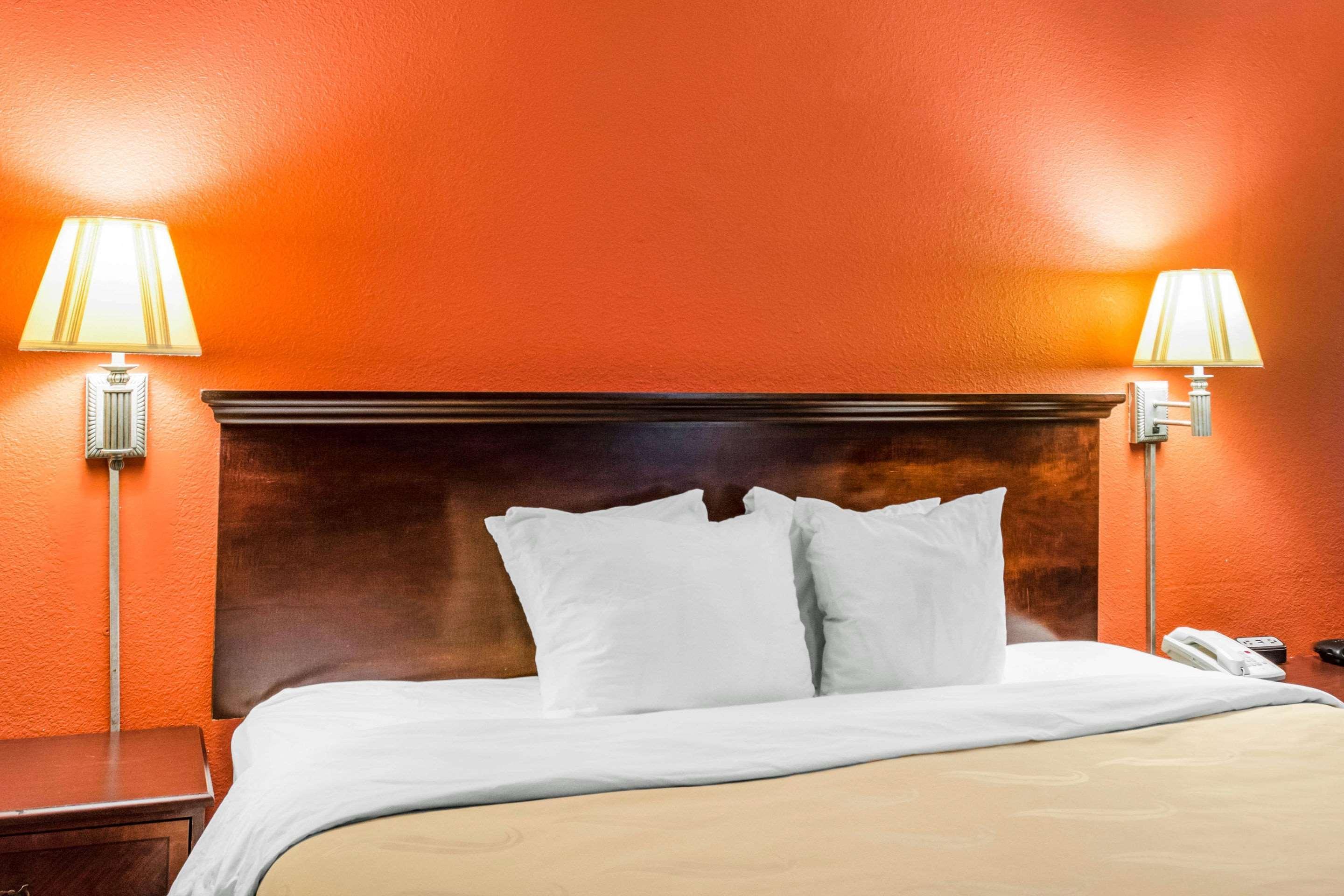 Quality Inn Albany Extérieur photo